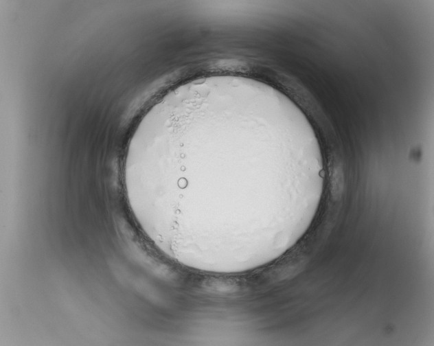 X0000113200729200910221039