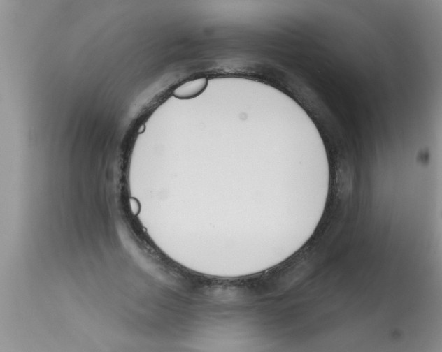 X0000113200730200910221039