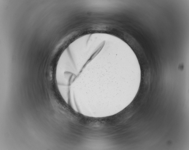X0000113200731200910221039
