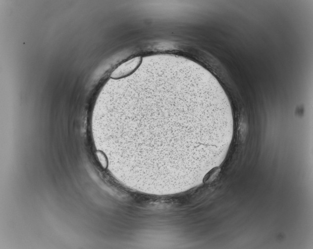 X0000113200732200910221039