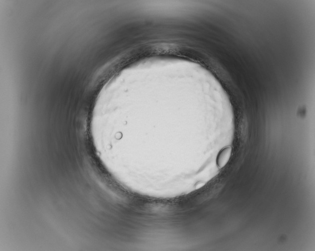 X0000113200733200910221039