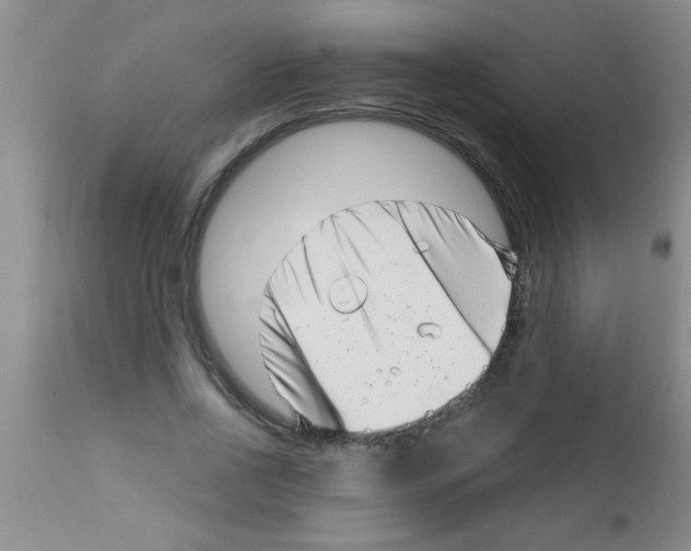 X0000113200734200910221039