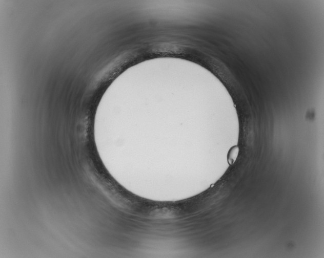 X0000113200735200910221039