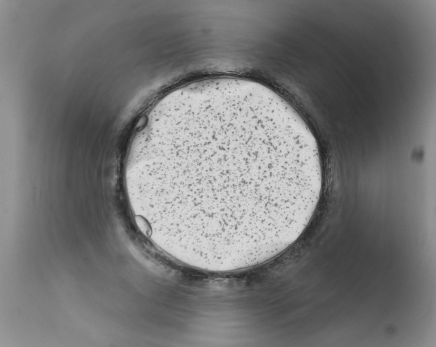X0000113200736200910221039