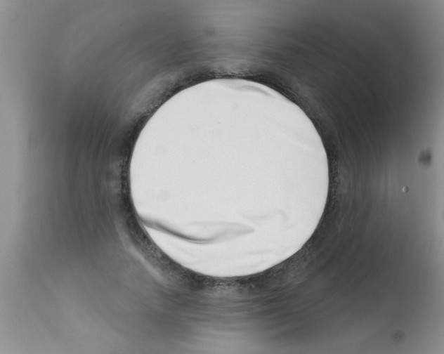 X0000113200738200910221039