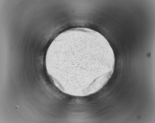 X0000113200739200910221039