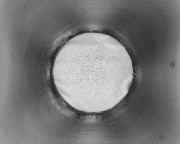 X0000113200740200910221039