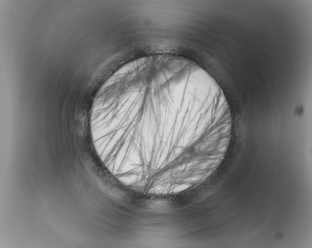 X0000113200741200910221039