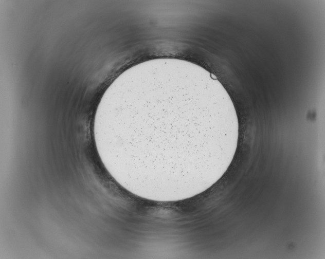 X0000113200743200910221039