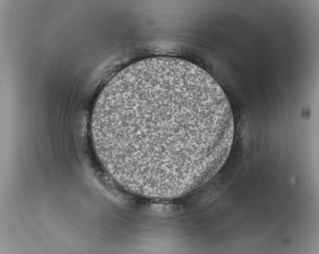 X0000113200744200910221039