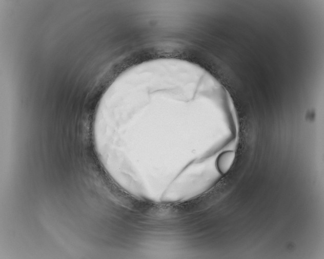 X0000113200745200910221039