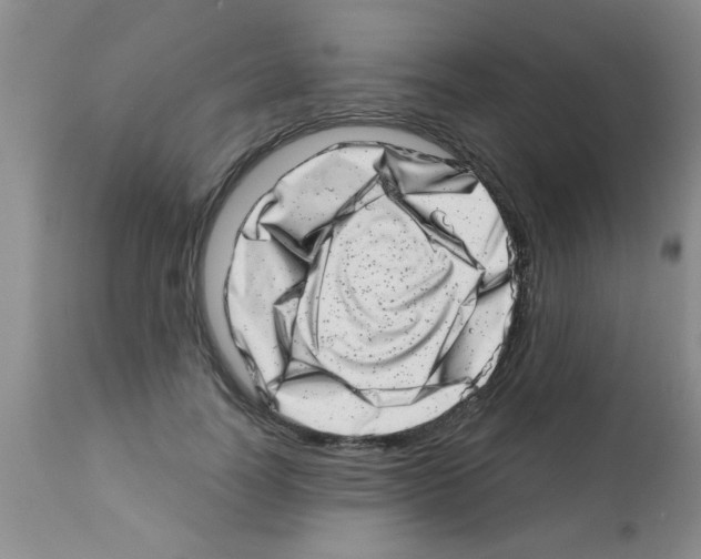 X0000113200746200910221039