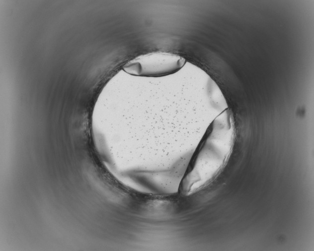 X0000113200748200910221039