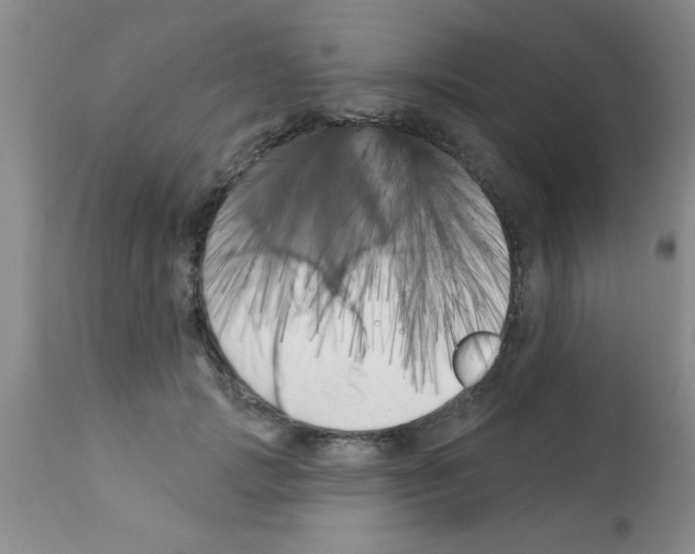 X0000113200749200910221039