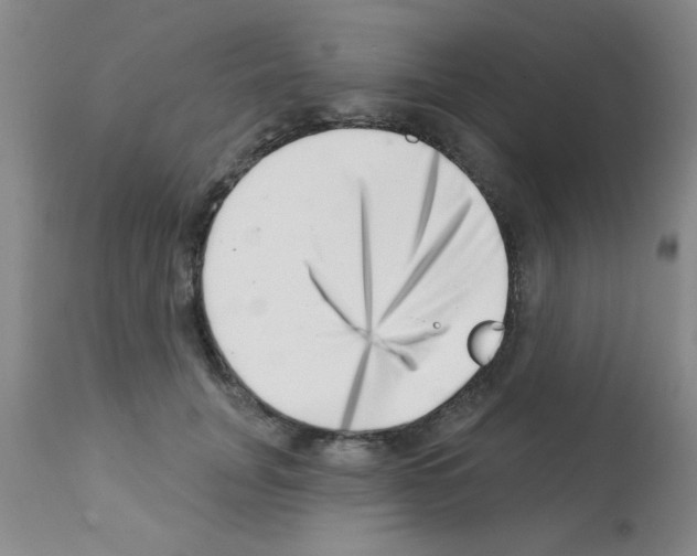 X0000113200751200910221039