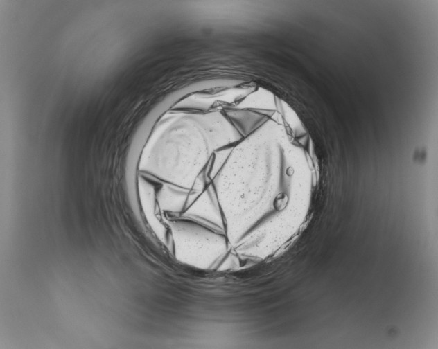 X0000113200752200910221039