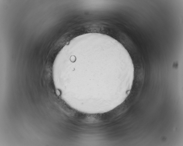 X0000113200753200910221039