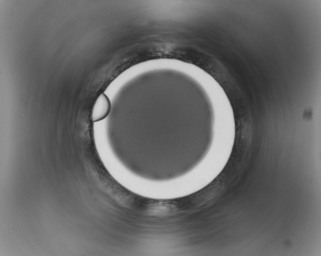 X0000113200754200910221039