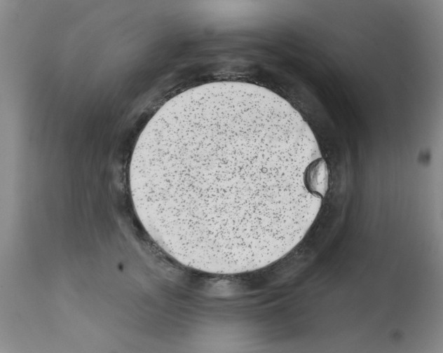 X0000113200755200910221039