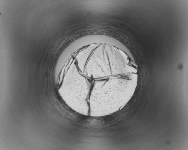 X0000113200756200910221039