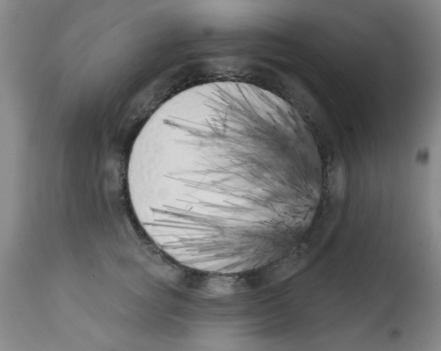 X0000113200757200910221040