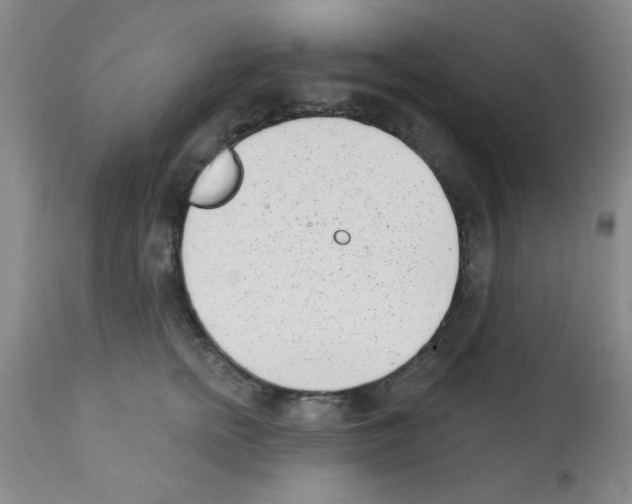 X0000113200758200910221040