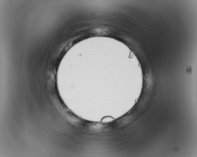 X0000113200759200910221040