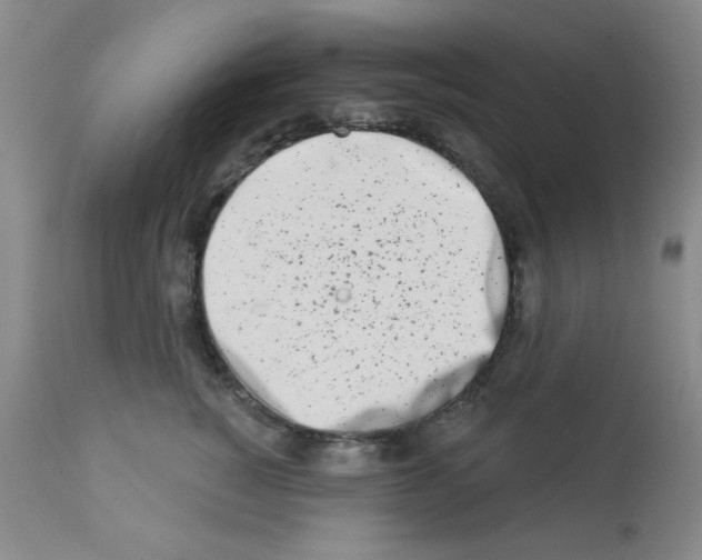X0000113200760200910221040