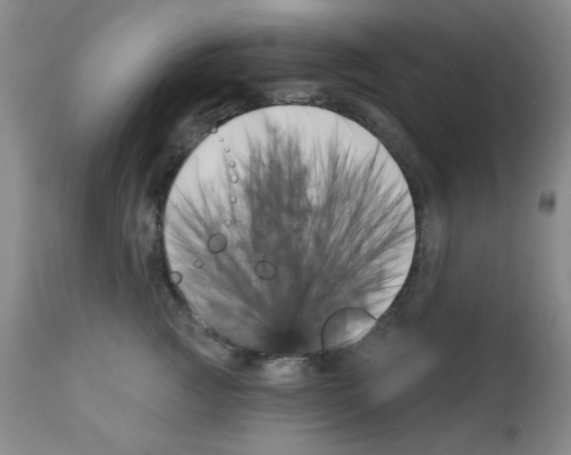 X0000113200761200910221040