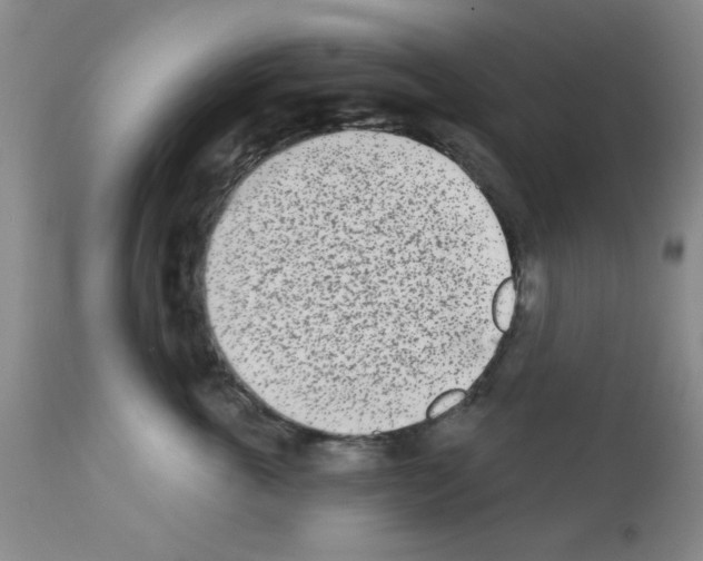 X0000113200763200910221040
