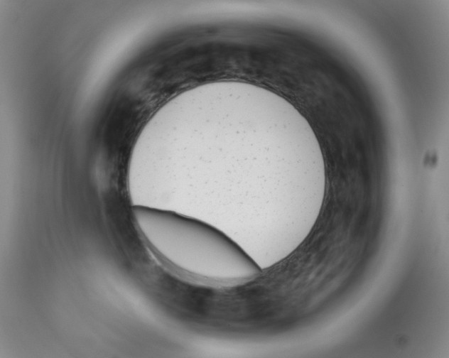 X0000113200766200910221040