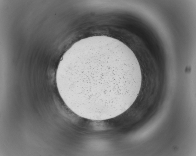 X0000113200767200910221040