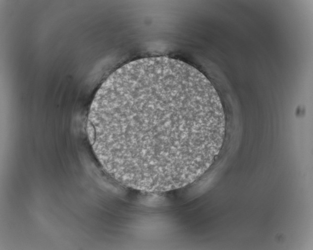 X0000113200768200910221040