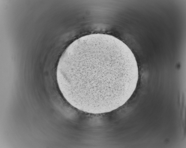 X0000113200769200910221039
