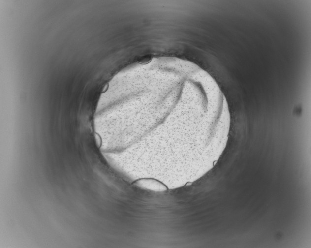 X0000113200770200910221039