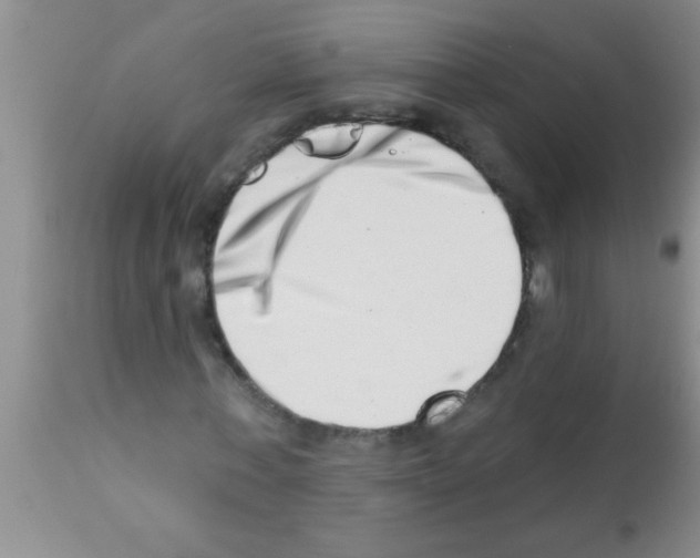 X0000113200771200910221039