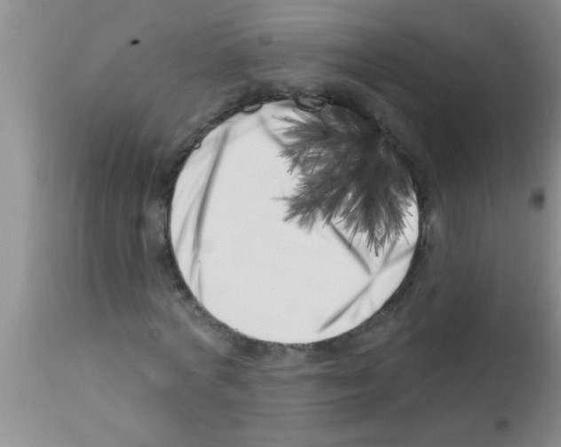 X0000113200772200910221039