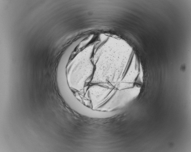X0000113200773200910221039