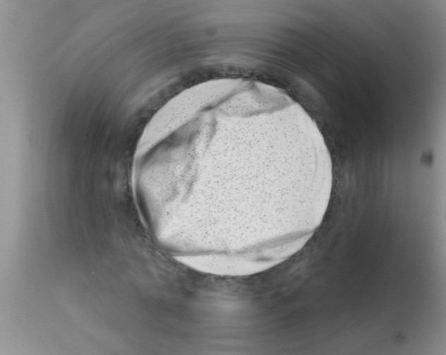X0000113200774200910221039