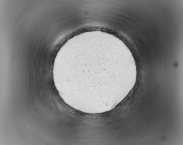 X0000113200775200910221039