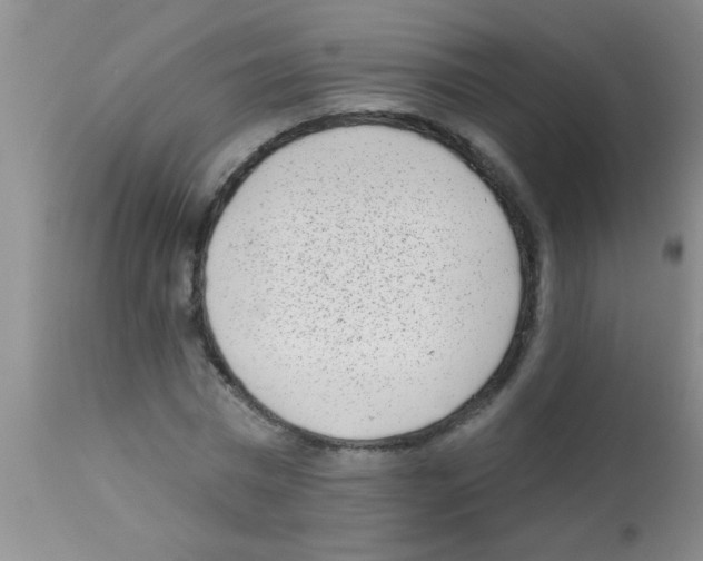 X0000113200777200910221039