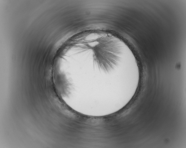 X0000113200778200910221039