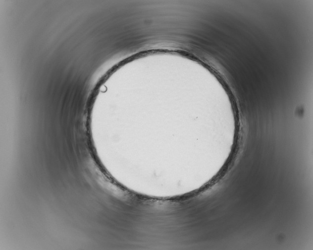 X0000113200779200910221039