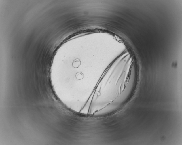 X0000113200785200910221039