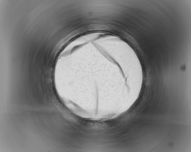 X0000113200786200910221039