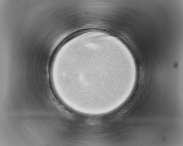 X0000113200788200910221039