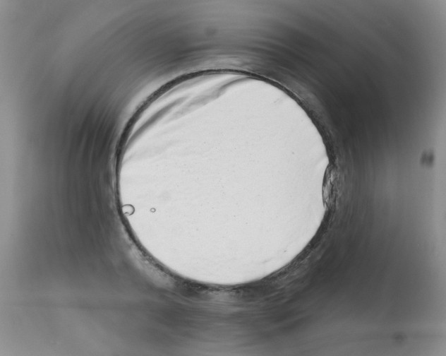 X0000113200792200910221039