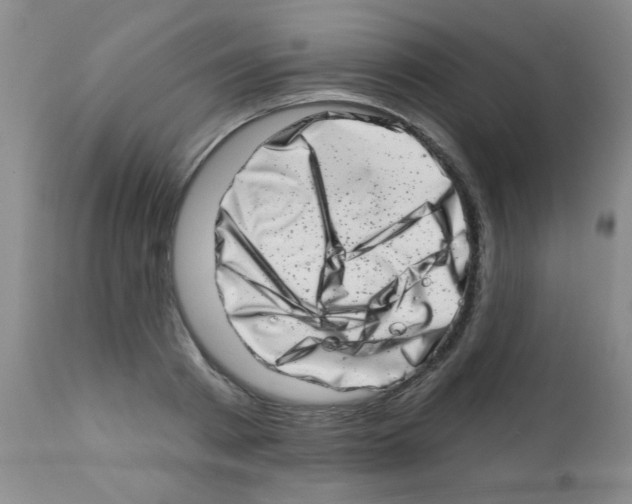 X0000113200793200910221038
