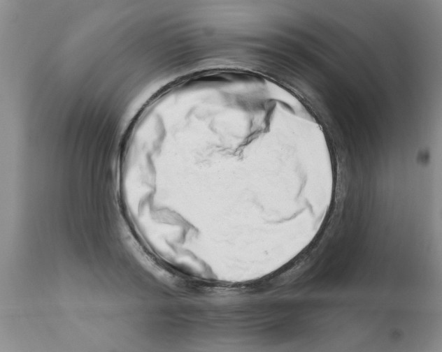 X0000113200796200910221038