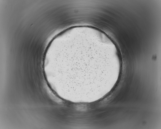 X0000113200797200910221038